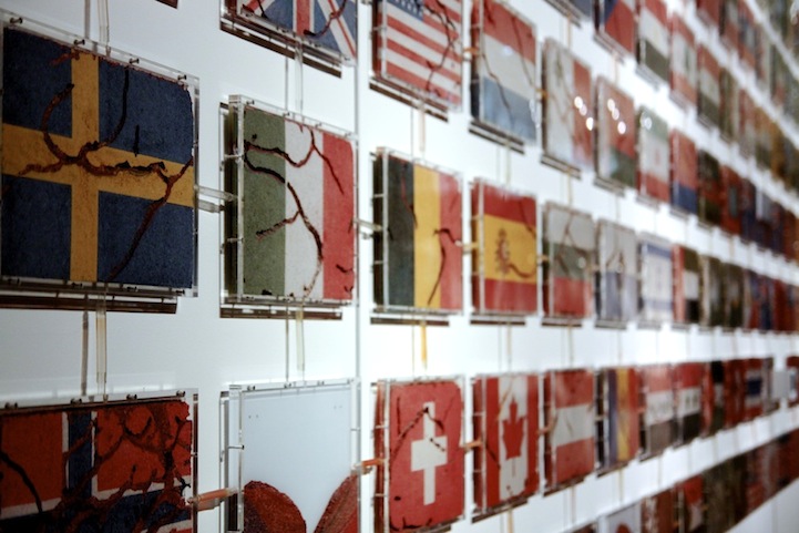 Ant Art Through the Ages