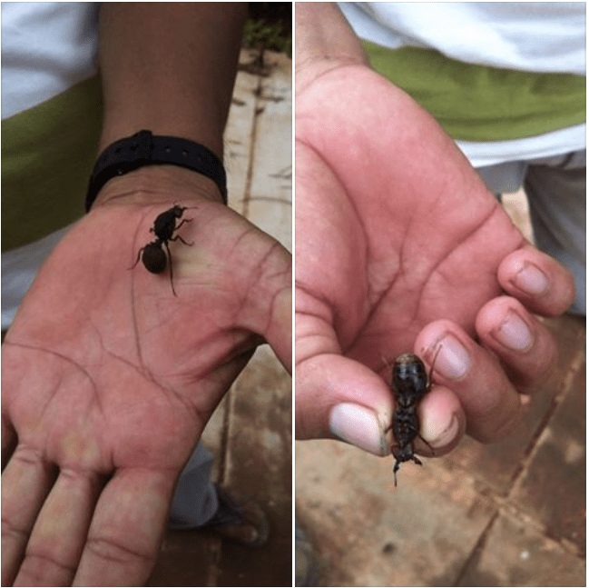 screen-shot-2017-02-10-at-7-25-05-am