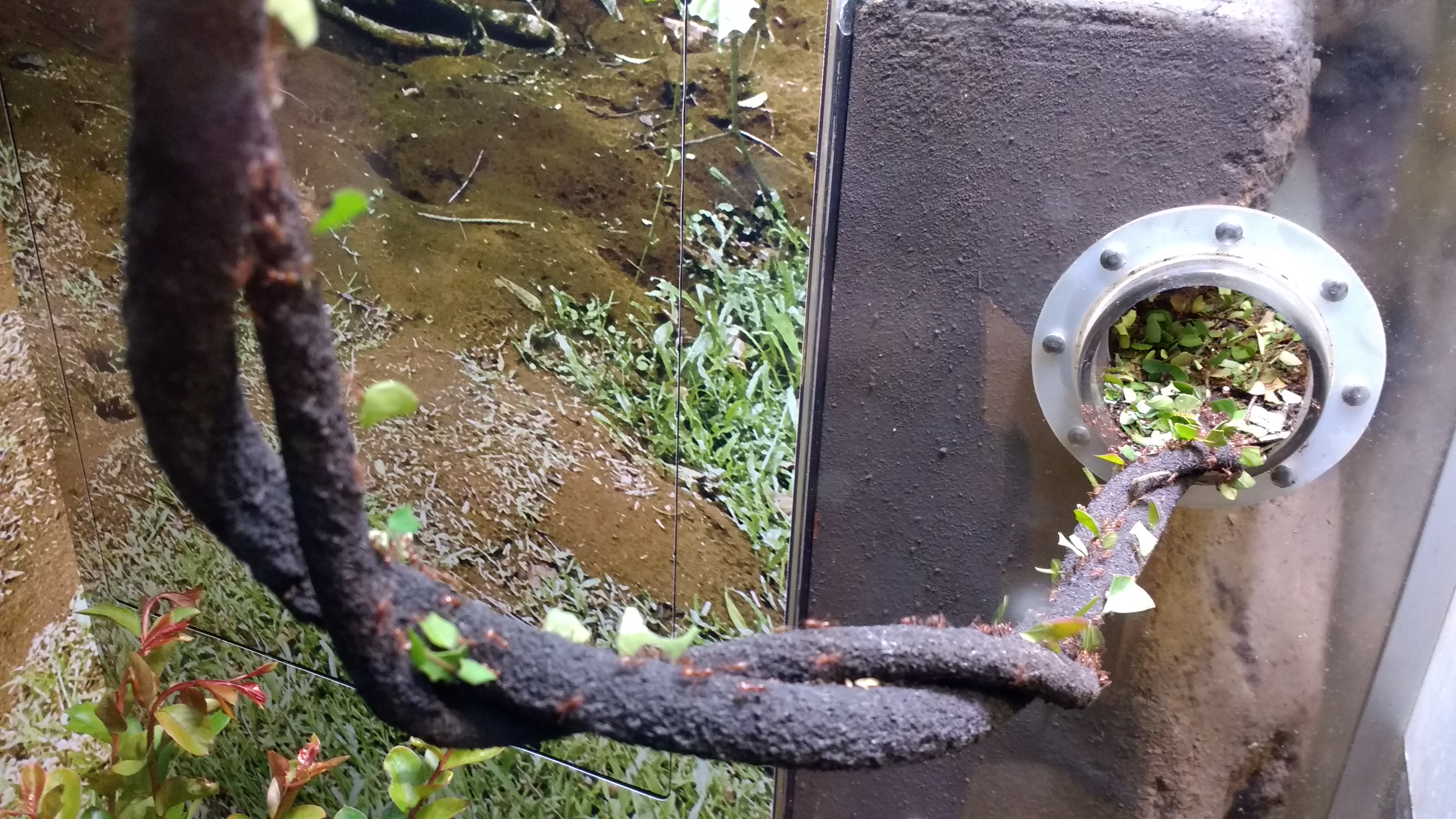 IMG_20170316_122707221