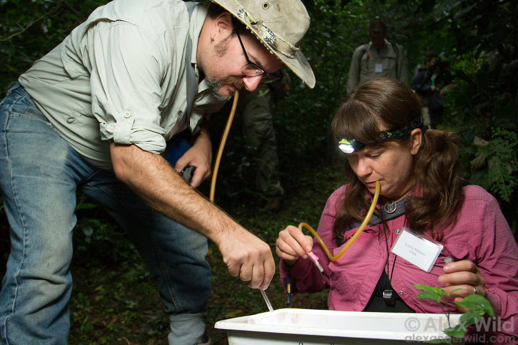 MyrmecologistsMetaphysicians