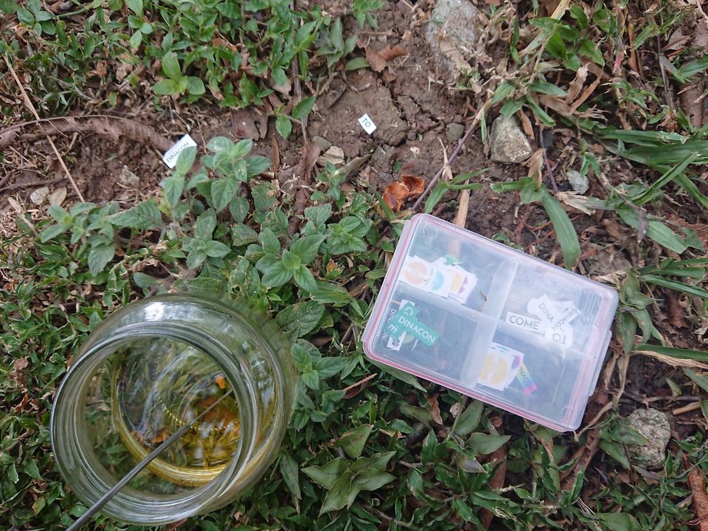 FGXUG3QJS5CLJGQ.LARGE